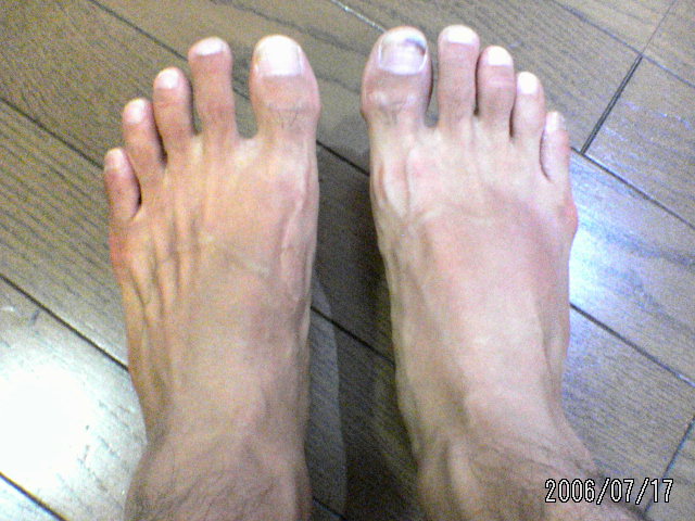 ���̉摜�̒��쌠��
Hiroshima Inline Hockey League(HIHL)�ɂ���܂��B�摜�f�[�^�̖��f�]�p�͌ł����f��\���グ�܂��B