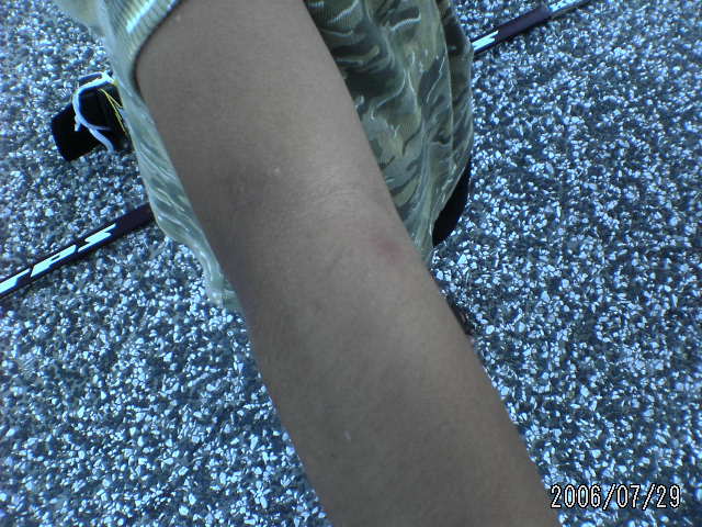 ���̉摜�̒��쌠��
Hiroshima Inline Hockey League(HIHL)�ɂ���܂��B�摜�f�[�^�̖��f�]�p�͌ł����f��\���グ�܂��B