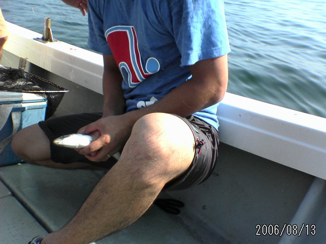 ���̉摜�̒��쌠��
Hiroshima Inline Hockey League(HIHL)�ɂ���܂��B�摜�f�[�^�̖��f�]�p�͌ł����f��\���グ�܂��B