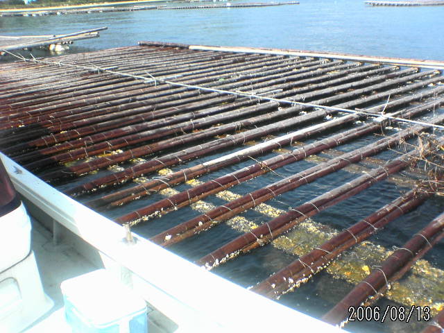 ���̉摜�̒��쌠��
Hiroshima Inline Hockey League(HIHL)�ɂ���܂��B�摜�f�[�^�̖��f�]�p�͌ł����f��\���グ�܂��B