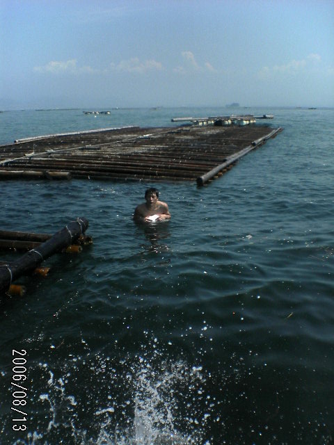 ���̉摜�̒��쌠��
Hiroshima Inline Hockey League(HIHL)�ɂ���܂��B�摜�f�[�^�̖��f�]�p�͌ł����f��\���グ�܂��B