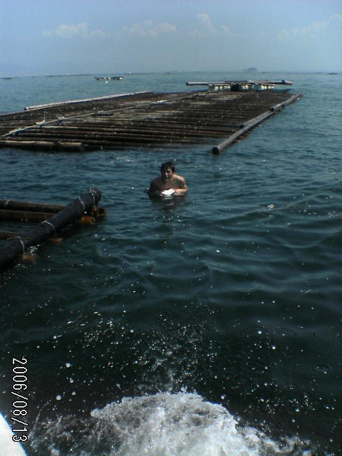 ���̉摜�̒��쌠��
Hiroshima Inline Hockey League(HIHL)�ɂ���܂��B�摜�f�[�^�̖��f�]�p�͌ł����f��\���グ�܂��B