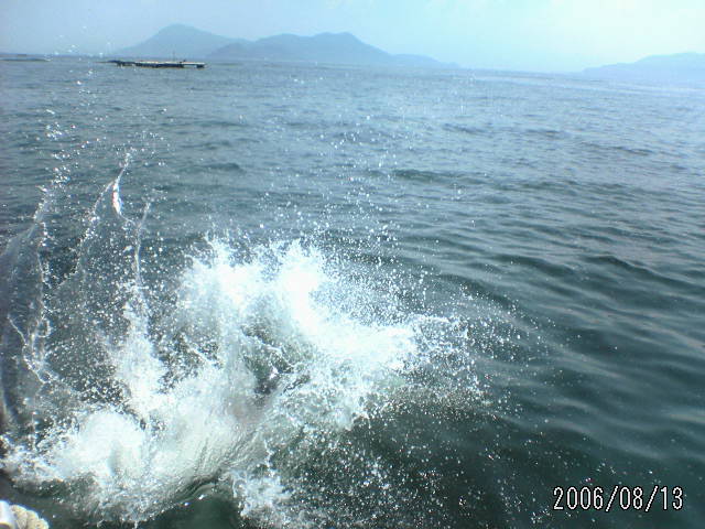 ���̉摜�̒��쌠��
Hiroshima Inline Hockey League(HIHL)�ɂ���܂��B�摜�f�[�^�̖��f�]�p�͌ł����f��\���グ�܂��B