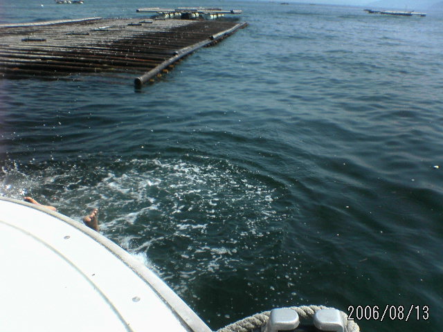 ���̉摜�̒��쌠��
Hiroshima Inline Hockey League(HIHL)�ɂ���܂��B�摜�f�[�^�̖��f�]�p�͌ł����f��\���グ�܂��B