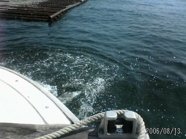 ���̉摜�̒��쌠��
Hiroshima Inline Hockey League(HIHL)�ɂ���܂��B�摜�f�[�^�̖��f�]�p�͌ł����f��\���グ�܂��B