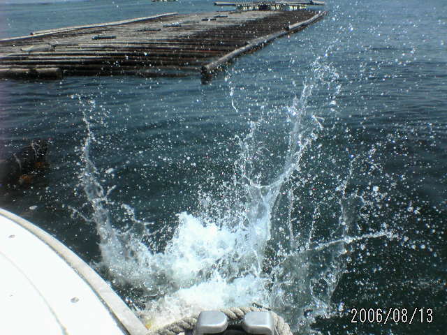 ���̉摜�̒��쌠��
Hiroshima Inline Hockey League(HIHL)�ɂ���܂��B�摜�f�[�^�̖��f�]�p�͌ł����f��\���グ�܂��B