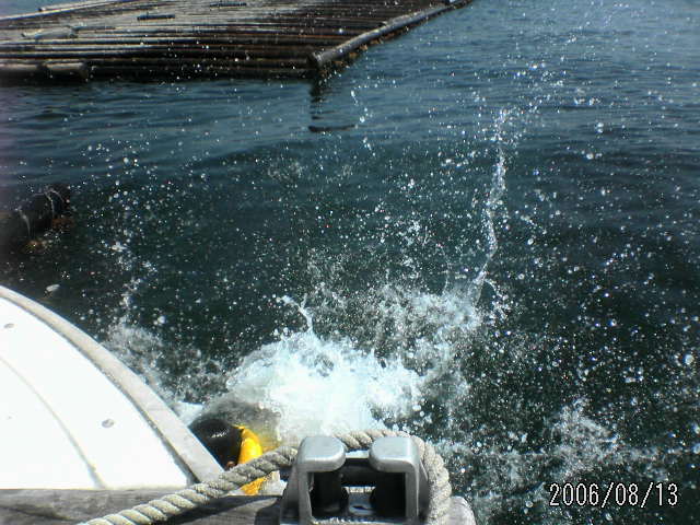 ���̉摜�̒��쌠��
Hiroshima Inline Hockey League(HIHL)�ɂ���܂��B�摜�f�[�^�̖��f�]�p�͌ł����f��\���グ�܂��B