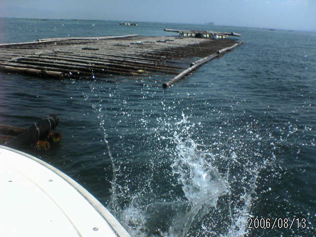 ���̉摜�̒��쌠��
Hiroshima Inline Hockey League(HIHL)�ɂ���܂��B�摜�f�[�^�̖��f�]�p�͌ł����f��\���グ�܂��B