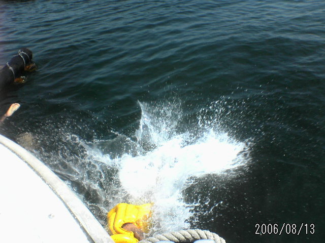 ���̉摜�̒��쌠��
Hiroshima Inline Hockey League(HIHL)�ɂ���܂��B�摜�f�[�^�̖��f�]�p�͌ł����f��\���グ�܂��B