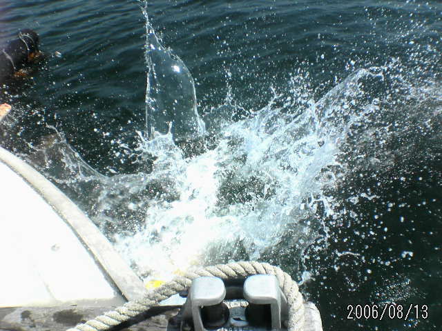 ���̉摜�̒��쌠��
Hiroshima Inline Hockey League(HIHL)�ɂ���܂��B�摜�f�[�^�̖��f�]�p�͌ł����f��\���グ�܂��B