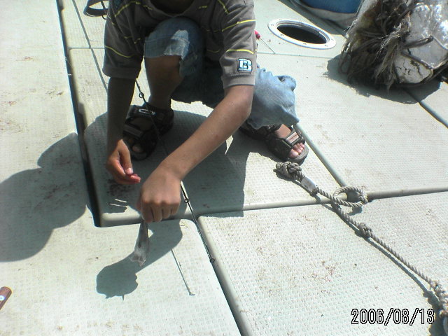 ���̉摜�̒��쌠��
Hiroshima Inline Hockey League(HIHL)�ɂ���܂��B�摜�f�[�^�̖��f�]�p�͌ł����f��\���グ�܂��B