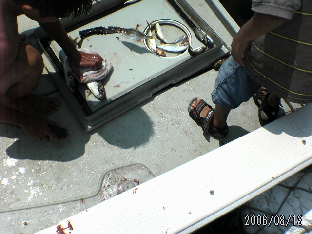 ���̉摜�̒��쌠��
Hiroshima Inline Hockey League(HIHL)�ɂ���܂��B�摜�f�[�^�̖��f�]�p�͌ł����f��\���グ�܂��B