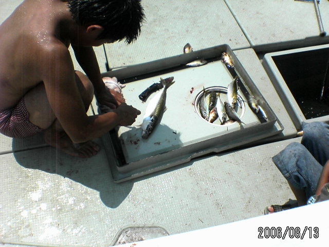 ���̉摜�̒��쌠��
Hiroshima Inline Hockey League(HIHL)�ɂ���܂��B�摜�f�[�^�̖��f�]�p�͌ł����f��\���グ�܂��B