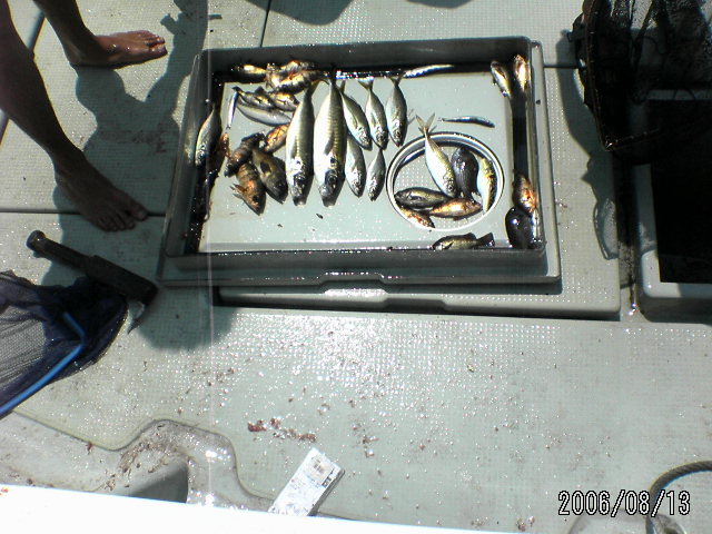 ���̉摜�̒��쌠��
Hiroshima Inline Hockey League(HIHL)�ɂ���܂��B�摜�f�[�^�̖��f�]�p�͌ł����f��\���グ�܂��B