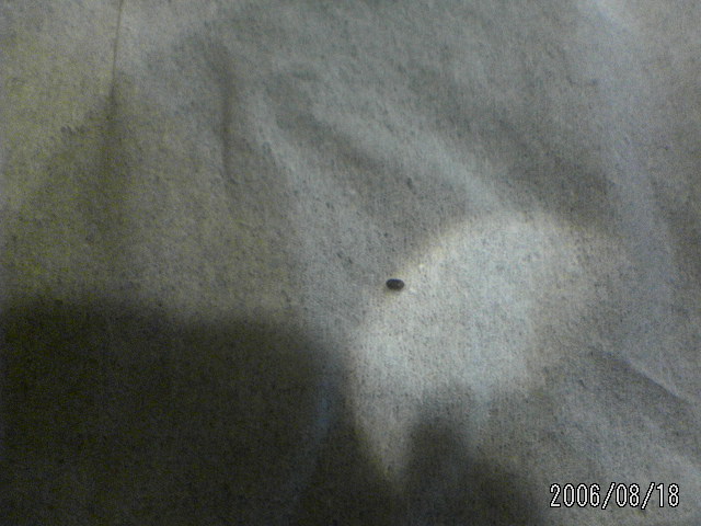 ���̉摜�̒��쌠��
Hiroshima Inline Hockey League(HIHL)�ɂ���܂��B�摜�f�[�^�̖��f�]�p�͌ł����f��\���グ�܂��B