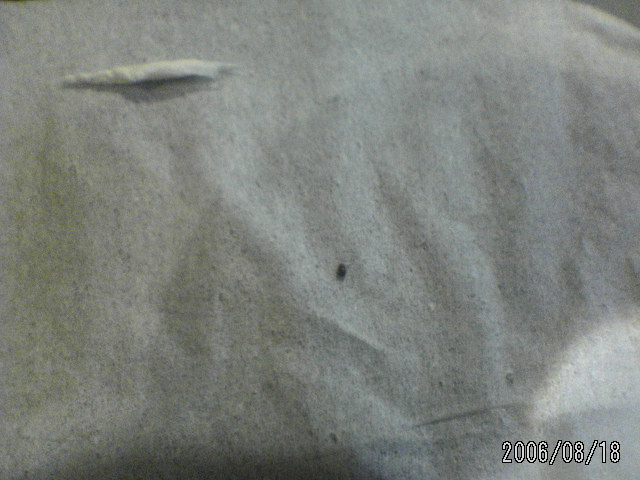 ���̉摜�̒��쌠��
Hiroshima Inline Hockey League(HIHL)�ɂ���܂��B�摜�f�[�^�̖��f�]�p�͌ł����f��\���グ�܂��B