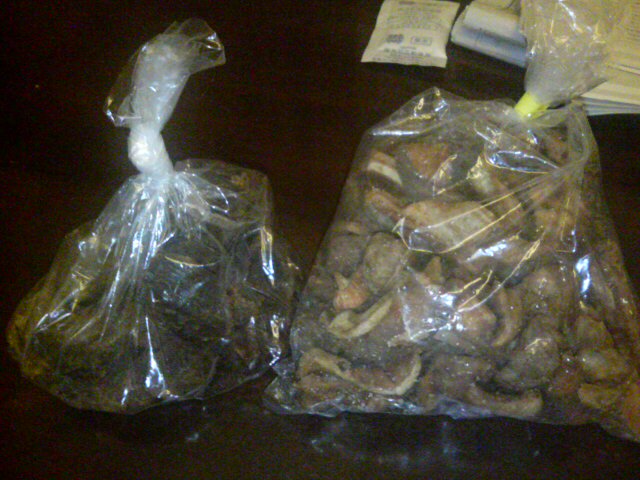 ���̉摜�̒��쌠��
Hiroshima Inline Hockey League(HIHL)�ɂ���܂��B�摜�f�[�^�̖��f�]�p�͌ł����f��\���グ�܂��B