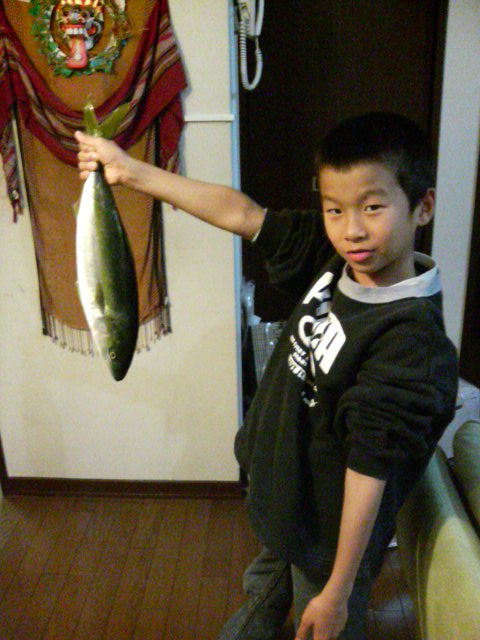 ���̉摜�̒��쌠��
Hiroshima Inline Hockey League(HIHL)�ɂ���܂��B�摜�f�[�^�̖��f�]�p�͌ł����f��\���グ�܂��B