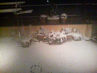 ���̉摜�̒��쌠��
Hiroshima Inline Hockey League(HIHL)�ɂ���܂��B�摜�f�[�^�̖��f�]�p�͌ł����f��\���グ�܂��B