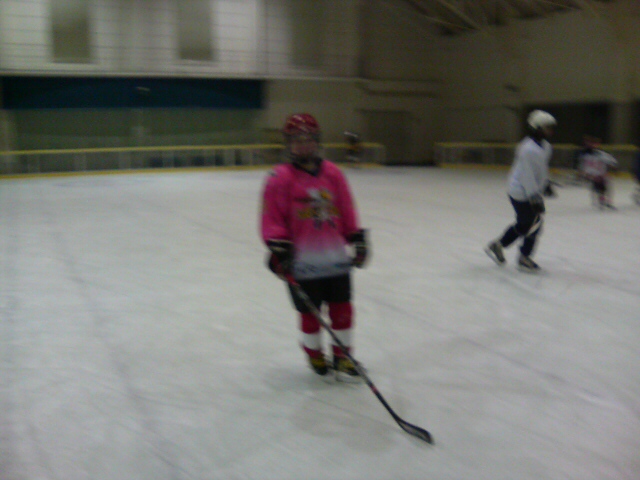 ���̉摜�̒��쌠��
Hiroshima Inline Hockey League(HIHL)�ɂ���܂��B�摜�f�[�^�̖��f�]�p�͌ł����f��\���グ�܂��B