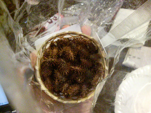 ���̉摜�̒��쌠��
Hiroshima Inline Hockey League(HIHL)�ɂ���܂��B�摜�f�[�^�̖��f�]�p�͌ł����f��\���グ�܂��B