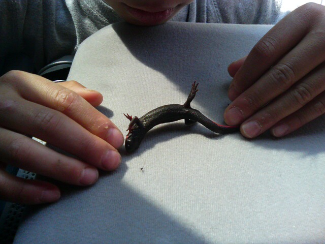 ���̉摜�̒��쌠��
Hiroshima Inline Hockey League(HIHL)�ɂ���܂��B�摜�f�[�^�̖��f�]�p�͌ł����f��\���グ�܂��B