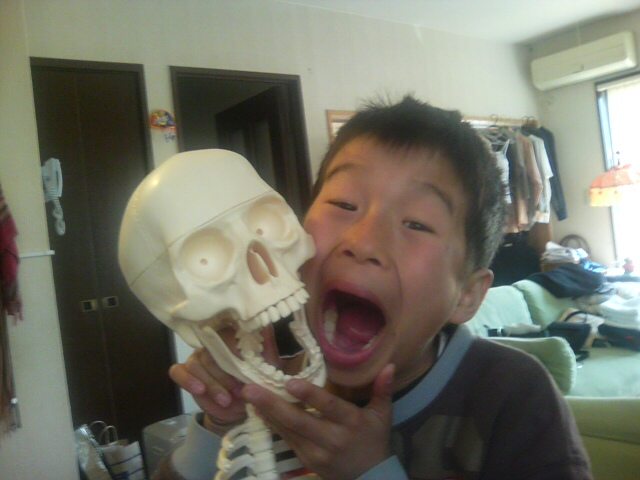 ���̉摜�̒��쌠��
Hiroshima Inline Hockey League(HIHL)�ɂ���܂��B�摜�f�[�^�̖��f�]�p�͌ł����f��\���グ�܂��B