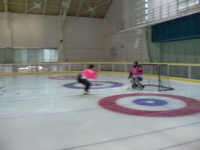 ���̉摜�̒��쌠��
Hiroshima Inline Hockey League(HIHL)�ɂ���܂��B�摜�f�[�^�̖��f�]�p�͌ł����f��\���グ�܂��B