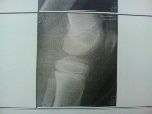 ���̉摜�̒��쌠��
Hiroshima Inline Hockey League(HIHL)�ɂ���܂��B�摜�f�[�^�̖��f�]�p�͌ł����f��\���グ�܂��B