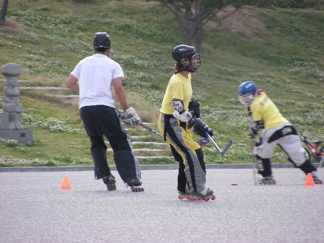 ���̉摜�̒��쌠��
Hiroshima Inline Hockey League(HIHL)�ɂ���܂��B�摜�f�[�^�̖��f�]�p�͌ł����f��\���グ�܂��B