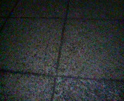 ���̉摜�̒��쌠��
Hiroshima Inline Hockey League(HIHL)�ɂ���܂��B�摜�f�[�^�̖��f�]�p�͌ł����f��\���グ�܂��B