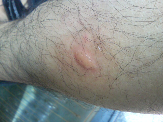 ���̉摜�̒��쌠��
Hiroshima Inline Hockey League(HIHL)�ɂ���܂��B�摜�f�[�^�̖��f�]�p�͌ł����f��\���グ�܂��B