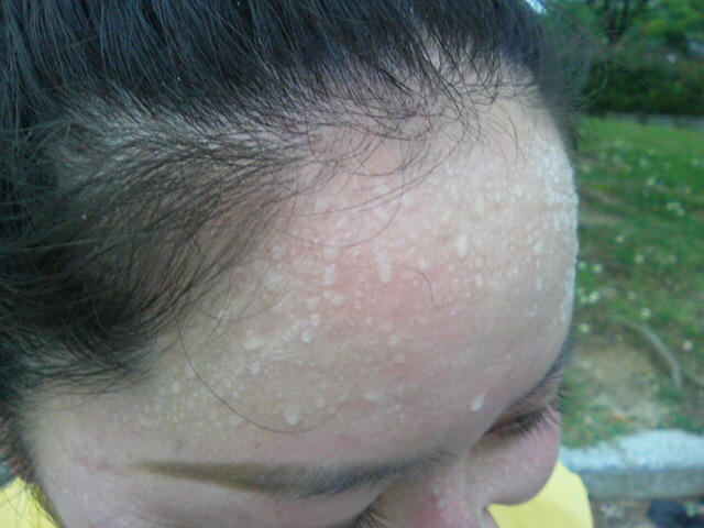 ���̉摜�̒��쌠��
Hiroshima Inline Hockey League(HIHL)�ɂ���܂��B�摜�f�[�^�̖��f�]�p�͌ł����f��\���グ�܂��B