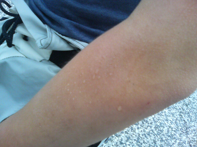 ���̉摜�̒��쌠��
Hiroshima Inline Hockey League(HIHL)�ɂ���܂��B�摜�f�[�^�̖��f�]�p�͌ł����f��\���グ�܂��B