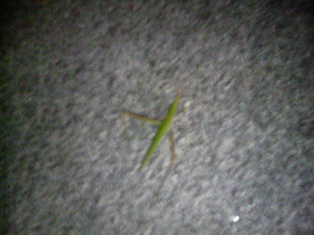 ���̉摜�̒��쌠��
Hiroshima Inline Hockey League(HIHL)�ɂ���܂��B�摜�f�[�^�̖��f�]�p�͌ł����f��\���グ�܂��B